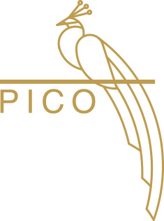 Pico London Ltd (Westminster, London)