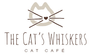 The Cat's Whiskers (Goodramgate, York)