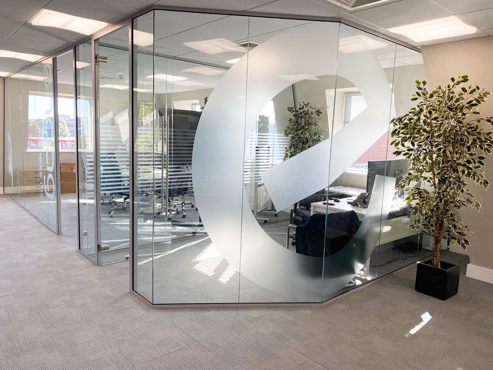 Single Glazed Frameless Glass Office Partitioning