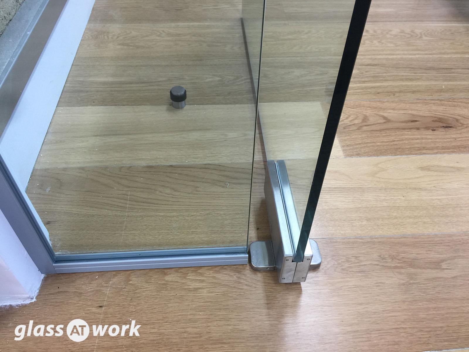 Pivot Frameless Glass Doors