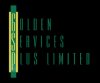 Golden Services Plus (Southall, London)