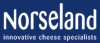 Norseland (Yeovil, Somerset)