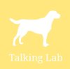 Talking Lab (Waterlooville, Hampshire)