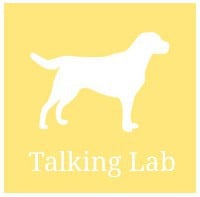 Talking Lab (Waterlooville, Hampshire)