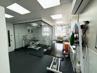 Gondas Veterinary Practice (Rotherham, South Yorkshire): Vet Clinic Glass Operating Theatre
