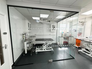 Gondas Veterinary Practice (Rotherham, South Yorkshire): Vet Clinic Glass Operating Theatre