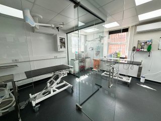 Gondas Veterinary Practice (Rotherham, South Yorkshire): Vet Clinic Glass Operating Theatre
