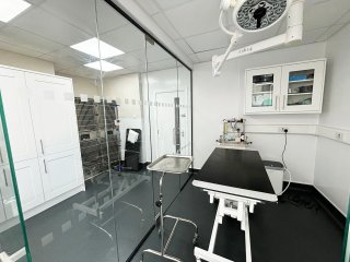 Gondas Veterinary Practice (Rotherham, South Yorkshire): Vet Clinic Glass Operating Theatre