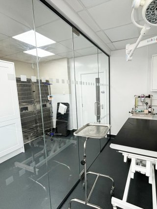 Gondas Veterinary Practice (Rotherham, South Yorkshire): Vet Clinic Glass Operating Theatre