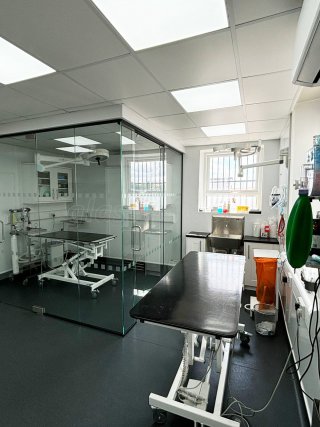 Gondas Veterinary Practice (Rotherham, South Yorkshire): Vet Clinic Glass Operating Theatre