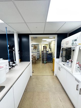 Polymer Systems Technology (High Wycombe, Buckinghamshire): Toughened Glass Double Doors