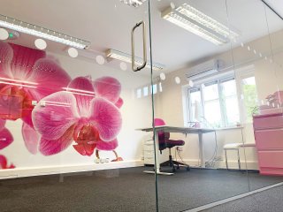 Access Care Management (Andover, Hampshire): Inline Frameless Glass Partition with Single Frameless Glass Door