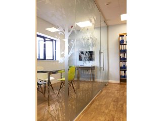 Bodywise UK Ltd (Filton, Bristol): Frameless Glass Office Partitions