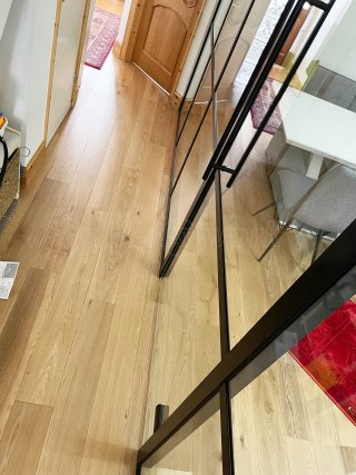 Domestic Project (Plaistow, London): T-Bar Black Framed Panel Glass Wall and Door