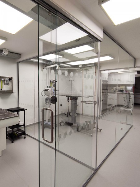 DAA Vet Care (Maida Vale, London): Glass Partitions For Vet Practice Treatment Rooms