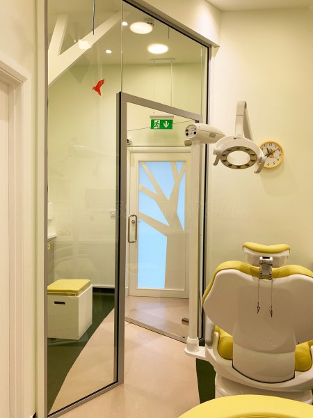 Dental Kids (Chiswick, London): Dentist Surgery Glass Entrance Screen And Door With Soundproofing