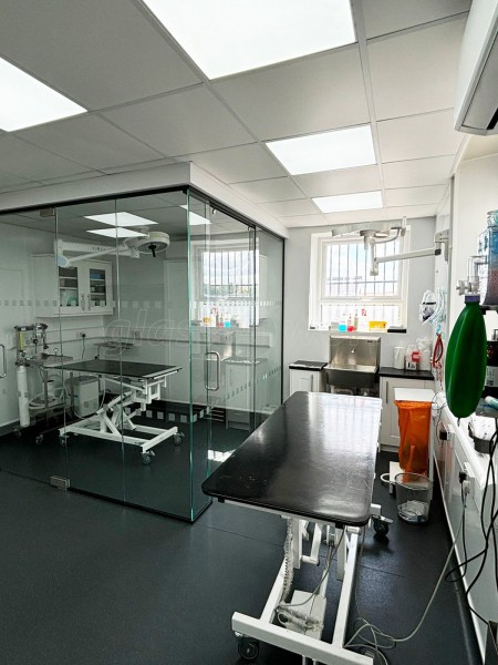 Gondas Veterinary Practice (Rotherham, South Yorkshire): Vet Clinic Glass Operating Theatre
