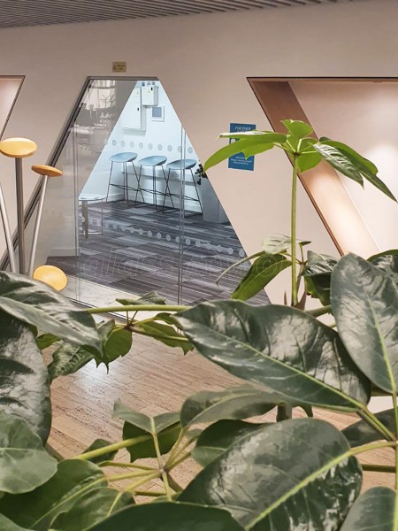 LS Studio London (Spitalfields, London): Raked Double Glazed Partition Using Acoustic Glass