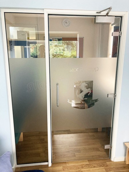 The Maidstone & Malling Alternative Provision (Maidstone, Kent): Glass Door and Side Panel