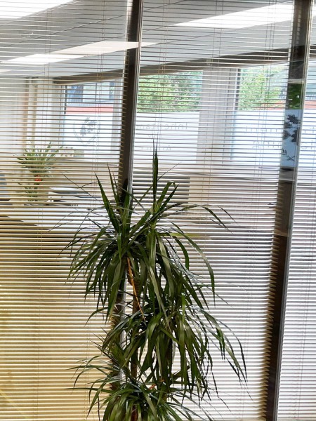 Matthew Slessor Wealth Management (Carlisle, Cumbria): Double Glazed Corner Office With Blinds