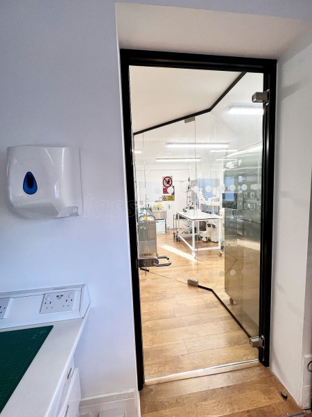 Pathfinder Medical (Plantation Wharf, London): Standalone Glass Door