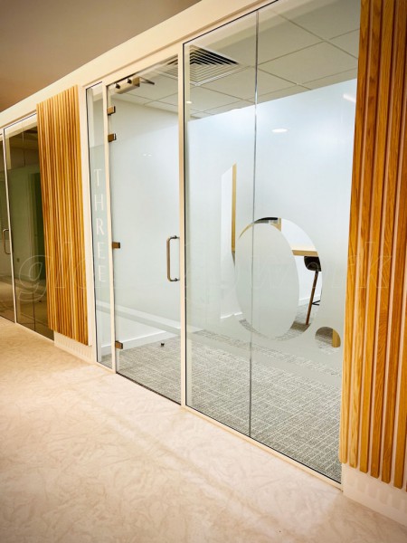 Beyond Dental (Leamington Spa, Warwickshire): Dental Surgery Frameless Glass Partitions