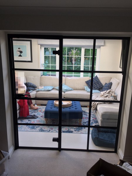 Domestic Project (Haslemere, Surrey): T-Bar Black Framed Glass Door and Side Panel