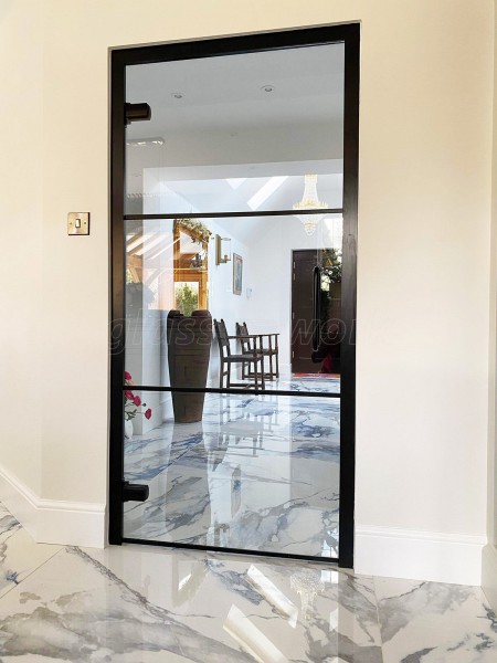 Domestic Project (Kettering, Northamptonshire): Black Framed Metal and Glass Door