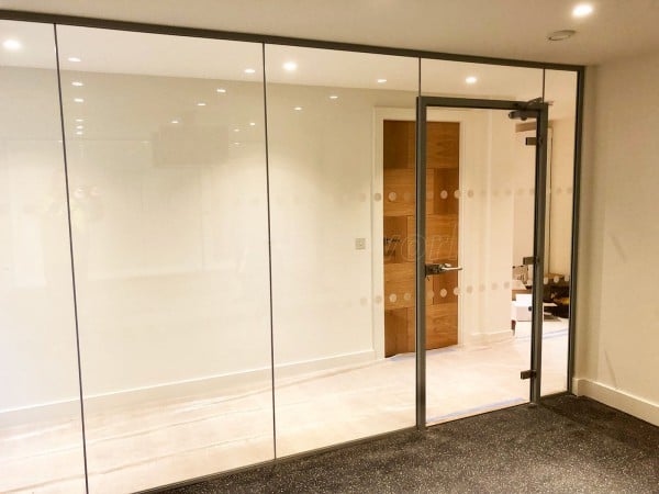 30/00 Fire Rated Frameless Glass Partitioning