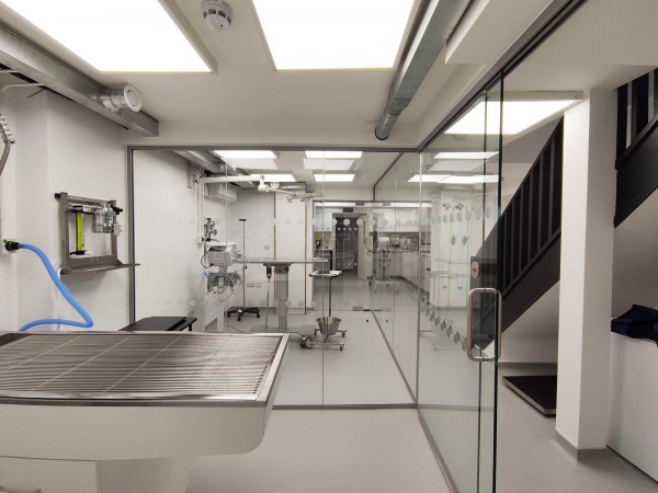 DAA Vet Care (Maida Vale, London): Glass Partitions For Vet Practice Treatment Rooms