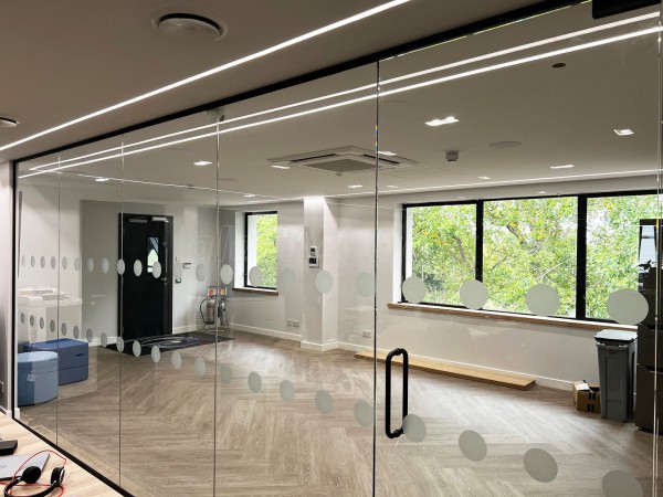 Global CxM Gecko Software DTI Project Solutions (Whitstable, Kent): Glass Office Partitions