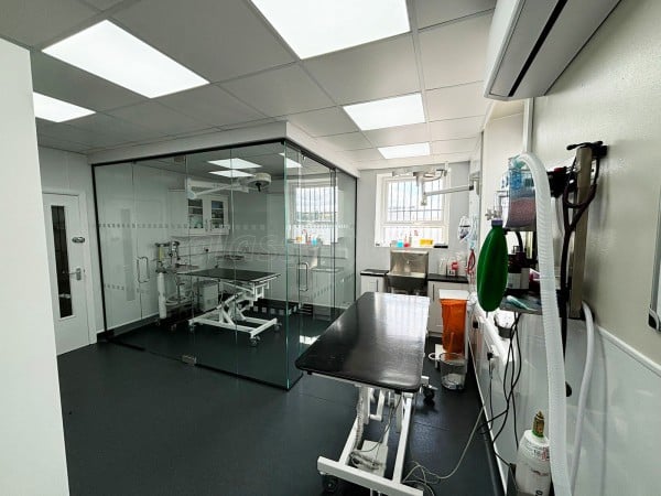 Gondas Veterinary Practice (Rotherham, South Yorkshire): Vet Clinic Glass Operating Theatre