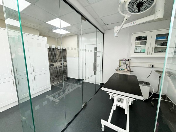 Gondas Veterinary Practice (Rotherham, South Yorkshire): Vet Clinic Glass Operating Theatre