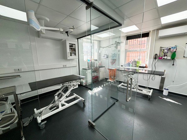 Gondas Veterinary Practice (Rotherham, South Yorkshire): Vet Clinic Glass Operating Theatre