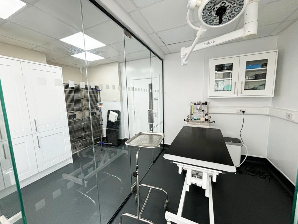 Gondas Veterinary Practice (Rotherham, South Yorkshire): Vet Clinic Glass Operating Theatre
