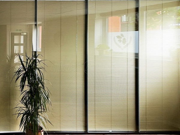 Matthew Slessor Wealth Management (Carlisle, Cumbria): Double Glazed Corner Office With Blinds