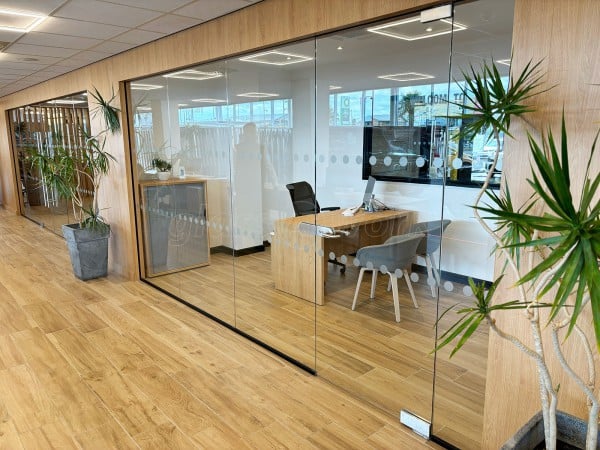Single Glazed Frameless Glass Office Partitioning