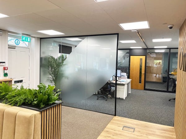 OMNE Agency (Ampthill, Bedfordshire): Toughened Glass Office Partitions