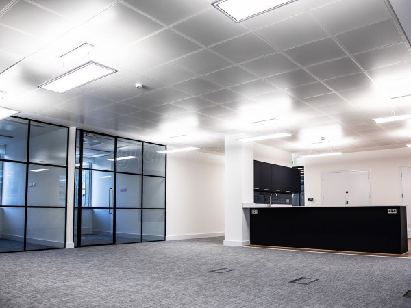 Orion Group (The City, London): T-Bar Metal Framed Glass Partitions Office Fitout