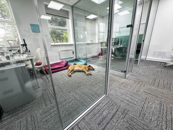Smart Clinic (Northwich, Cheshire): Double Glazed Glass Office Partitions