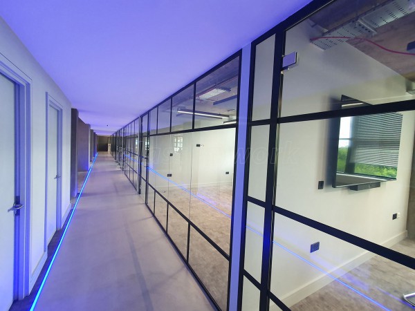 Stef and Philips (Southgate, London): T-Bar Art Deco Glass Office Partitions