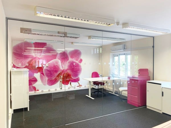 Single Glazed Frameless Glass Office Partitioning