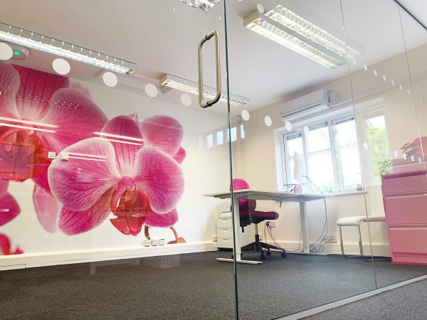 Access Care Management (Andover, Hampshire): Inline Frameless Glass Partition with Single Frameless Glass Door