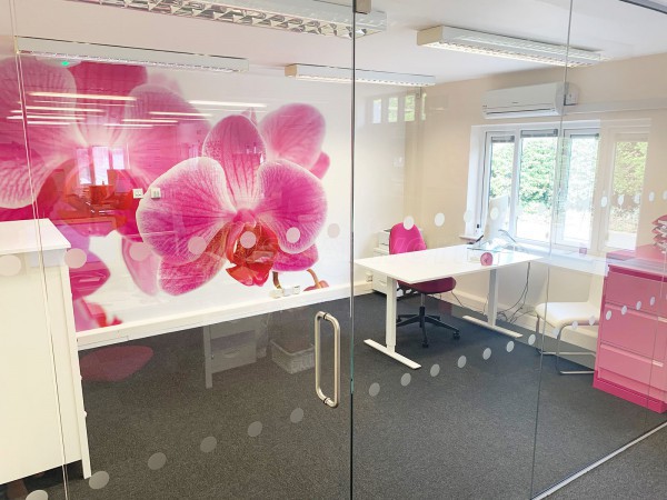 Access Care Management (Andover, Hampshire): Inline Frameless Glass Partition with Single Frameless Glass Door