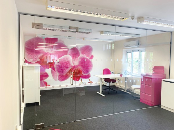 Access Care Management (Andover, Hampshire): Inline Frameless Glass Partition with Single Frameless Glass Door