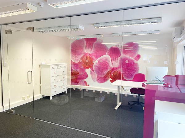 Access Care Management (Andover, Hampshire): Inline Frameless Glass Partition with Single Frameless Glass Door