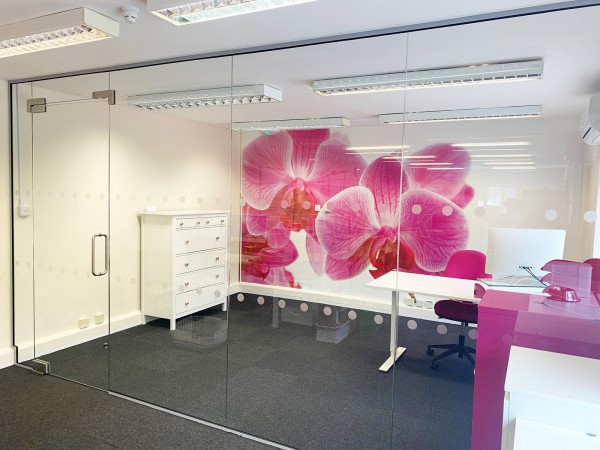 Access Care Management (Andover, Hampshire): Inline Frameless Glass Partition with Single Frameless Glass Door