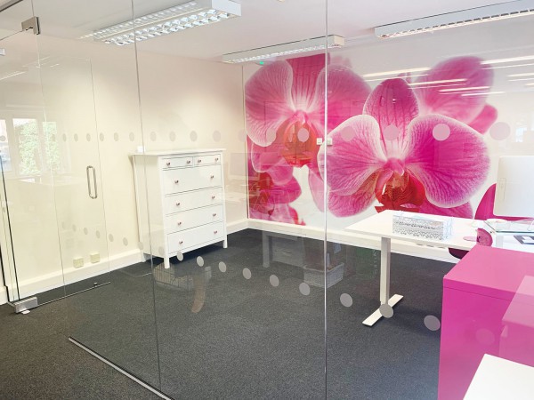 Access Care Management (Andover, Hampshire): Inline Frameless Glass Partition with Single Frameless Glass Door