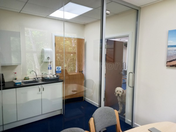 Begreen (Wales) Ltd (Haverfordwest, Pembrokeshire): Glass Office Partition Interiors With Soundproofing