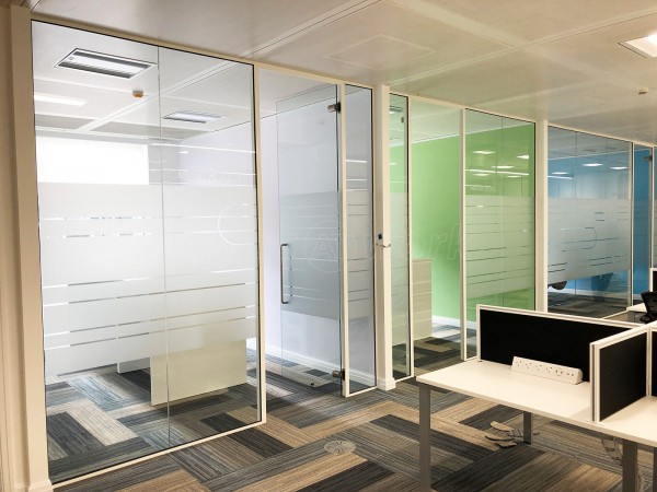 Single Glazed Frameless Glass Office Partitioning